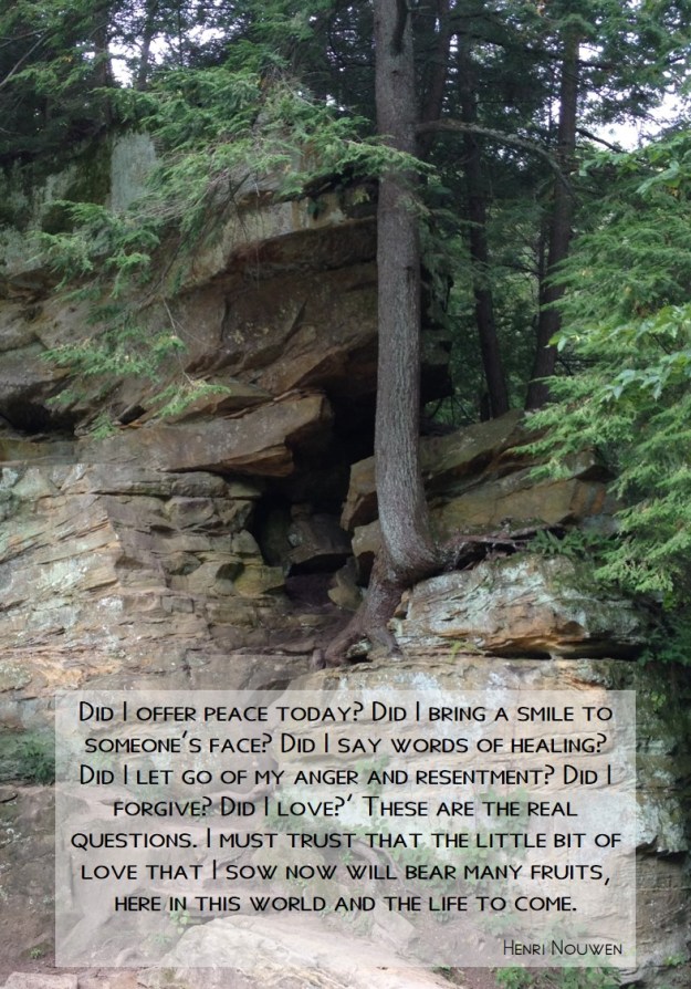 Did I offer peace today