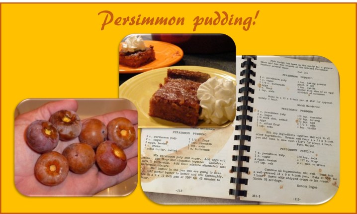 persimmon pudding page