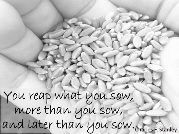you reap what you sow