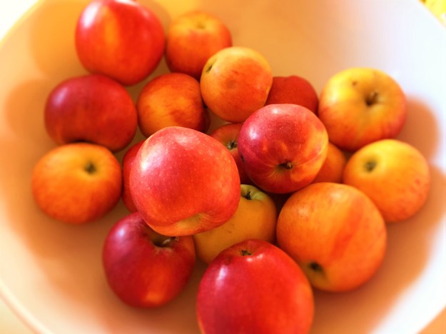 01651daf86cb4cddfe708fa692ad05f434e19c36d5