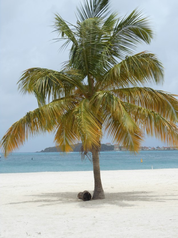 Cruise vacation 2012 240