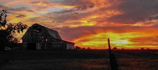 01c5e8119f598d7251413d8bd12ca2536b5690acde_00001